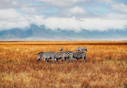 4 Days Safari Tarangire, Serengeti, Ngorongoro