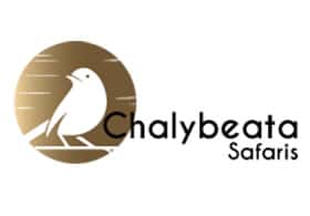 Chalybeata Safaris