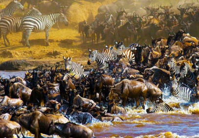 7-Day Classic Tanzania Tour