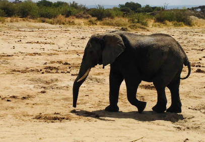 5 Days North Serengeti Migration
