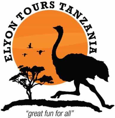 Elyon Tours Tanzania