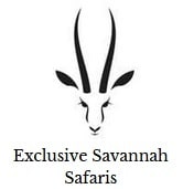 Exclusive Savannah Safaris