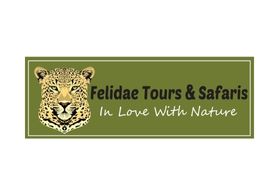 Felidae Tours & Safaris