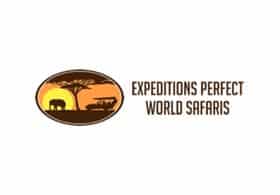 Perfect World Safaris