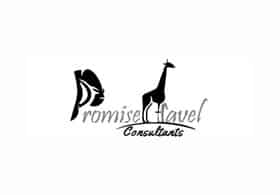 Promise Travel Consultants