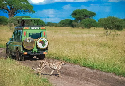 3 Days Tanzania sharing budget, camping, private luxury safari & small group tours