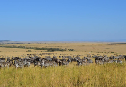 3 Days Budget Mara Safari