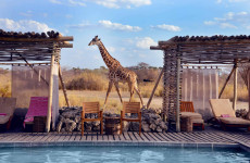 10 Days Tanzania Safari & Zanzibar Relaxation