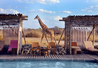 10 Days Tanzania Safari & Zanzibar Relaxation