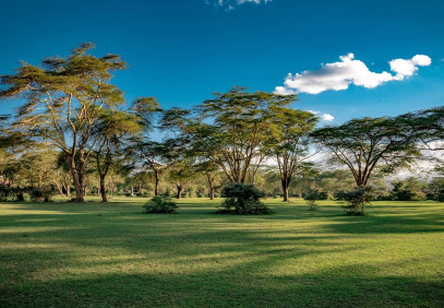 3 Days Kenya Safari Lake Naivasha & Masai Mara