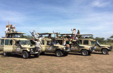 6 Days Tarangire, Serengeti, Ngorongoro, Lake Manyara