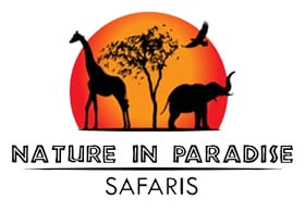 Nature In Paradise Safaris