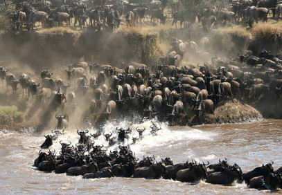 7 Days Wildebeest Migration Safari