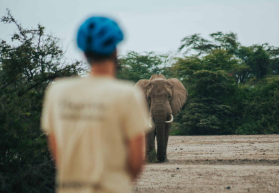 1-Day Cycle to Kilimanjaro Bike Park Safari