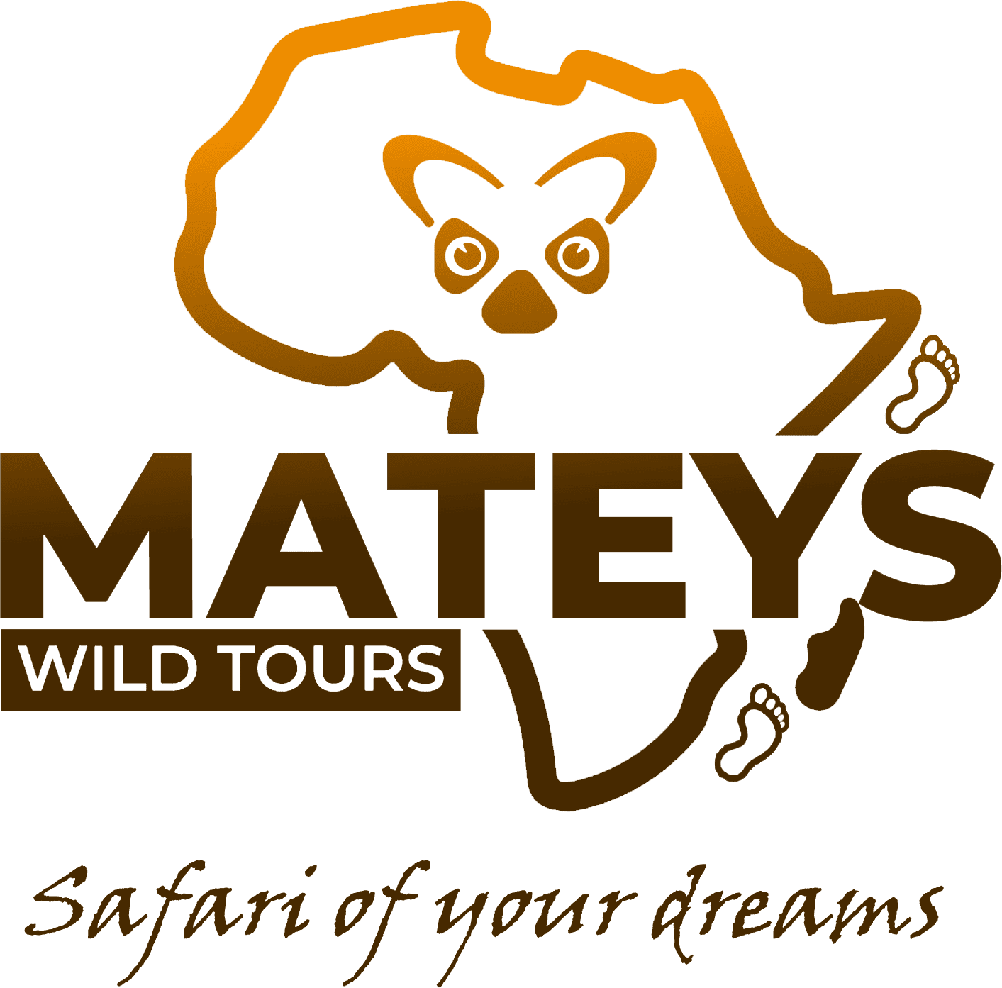 Mateyswild Tours