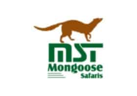 Mongoose Safaris