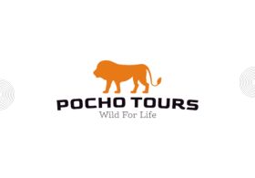 Pocho Tours