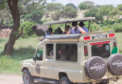 4 Days Budget Shared Safari in Tanzania