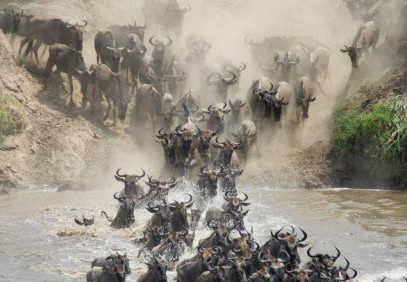 5-Day Mara River Crossing Migration