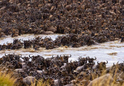 5-Day Best Northern Tanzania Safari