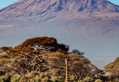 4 Days Lake Nakuru, Masai Mara Safari