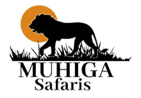Muhiga Safaris