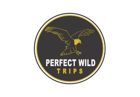 Perfect Wild Trips