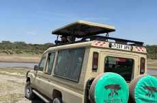 4-Day Private Luxury Lions Safari.