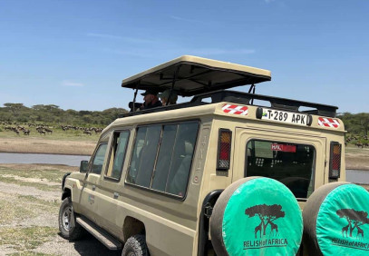 4-Day Private Luxury Lions Safari.