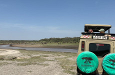 6-Day Private Mid-Range Safari