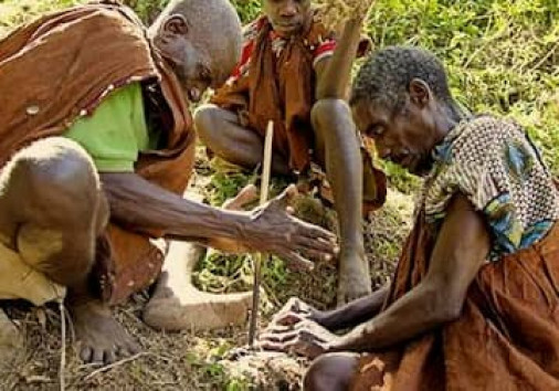 C20c9bc7fcb1422a83b015ab4ec6a7d0