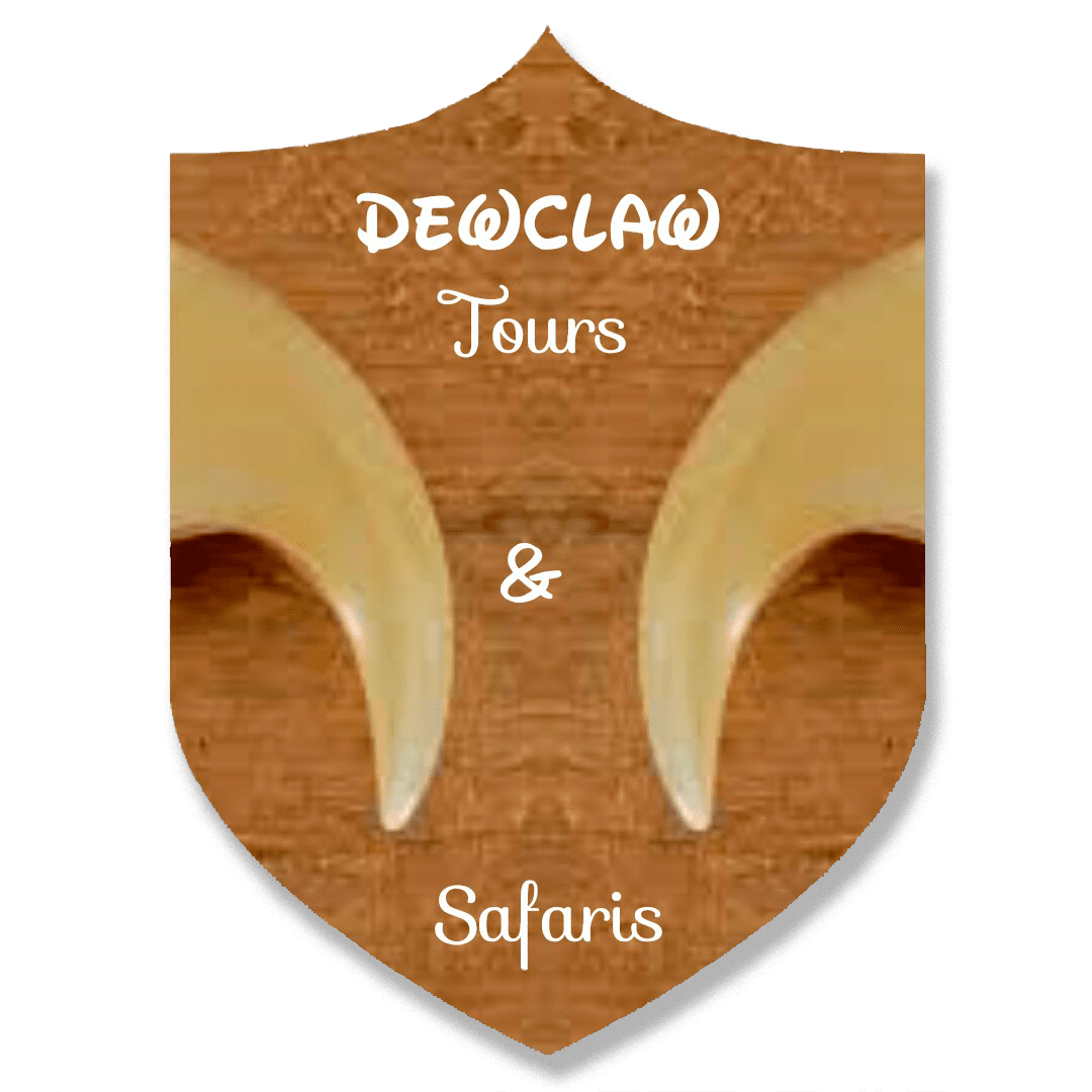 Dewclaw Eco Tours and Safaris