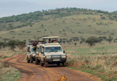 3-Day Tanzania Luxury Lodge Safari