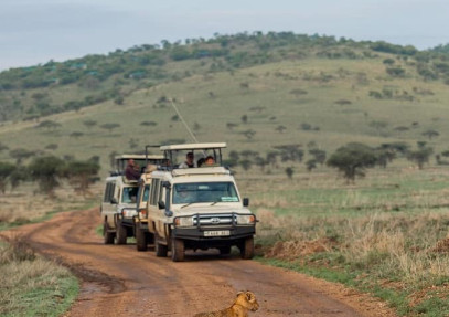 3-Day Tanzania Luxury Lodge Safari