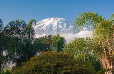 Best 6 Days Kilimanjaro Climb Machame Route