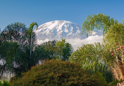 Best 6 Days Kilimanjaro Climb Machame Route