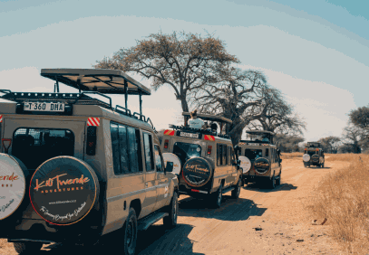 2-Day Tarangire & Ngorongoro Crater Mid Range Safari