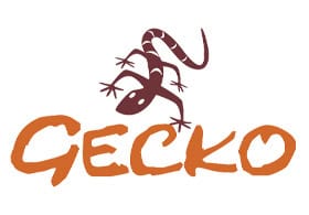 Gecko Adventure Tanzania