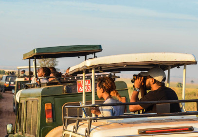 14-Day Best of Uganda Primate & Wildlife Safari