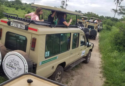 2-Day Tanzania Wildlife Safari