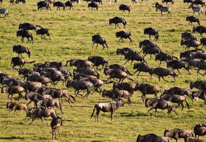 4-Day Ultimate African Safari