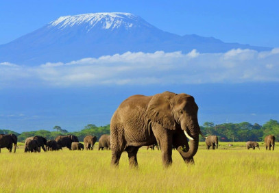 7-Day Kilimanjaro Climbing Machame Route