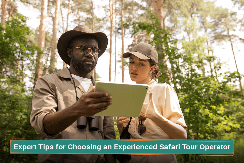 Expert Tips for Choosing an Experienced Safari Tour Operator
