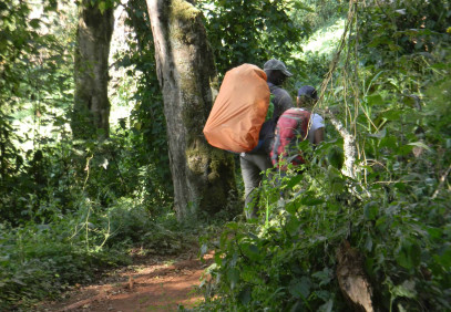 8-Day Lemosho Route Kilimanjaro Hiking Tour