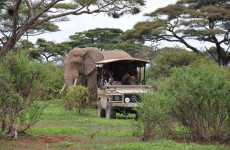 2-Day Tarangire & Ngorongoro Experience