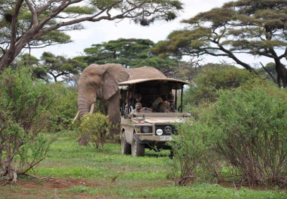 2-Day Tarangire & Ngorongoro Experience