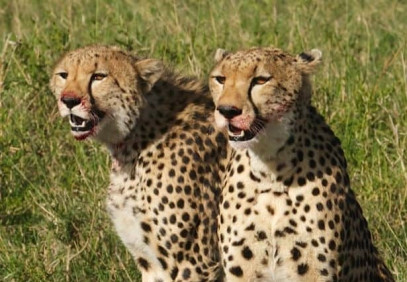 7-Day Uganda Off the Beaten Path Safari