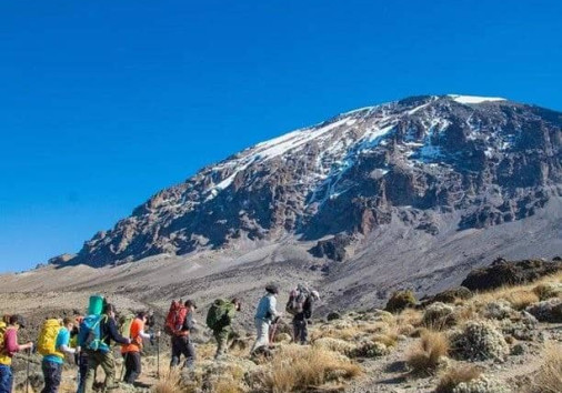 Photo 2023 02 03 17 50 56 (2)