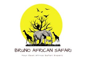 Bruno African Safari