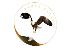 Eagle Safaris